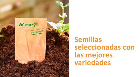 Semillas